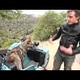 Dogs And Sidecars, A Match Made In Motorcycle Heaven